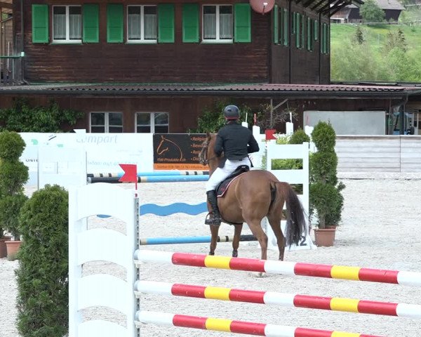 Reitturnier Schüpfheim 2021