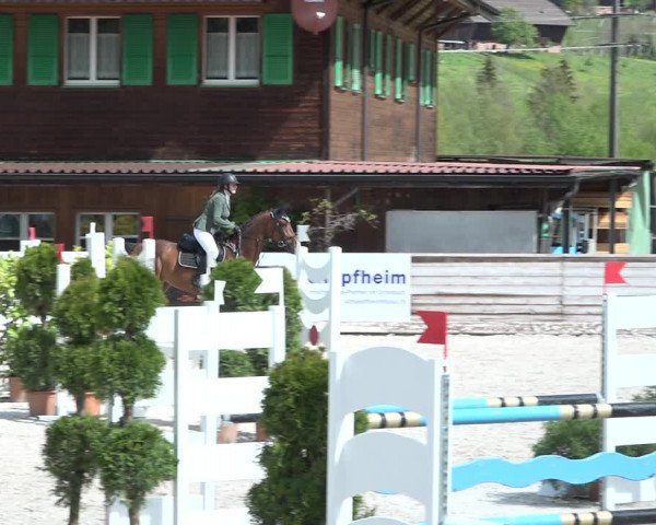 Reitturnier Schüpfheim 2021