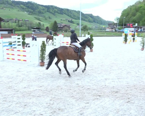 Reitturnier Schüpfheim 2021