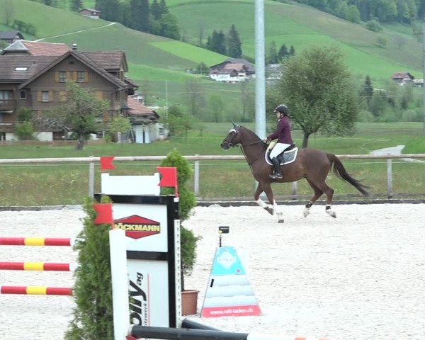 Reitturnier Schüpfheim 2021