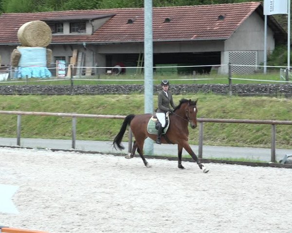 Reitturnier Schüpfheim 2021