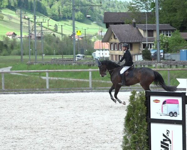 Reitturnier Schüpfheim 2021