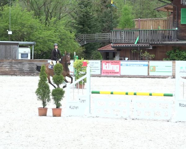 Reitturnier Schüpfheim 2021