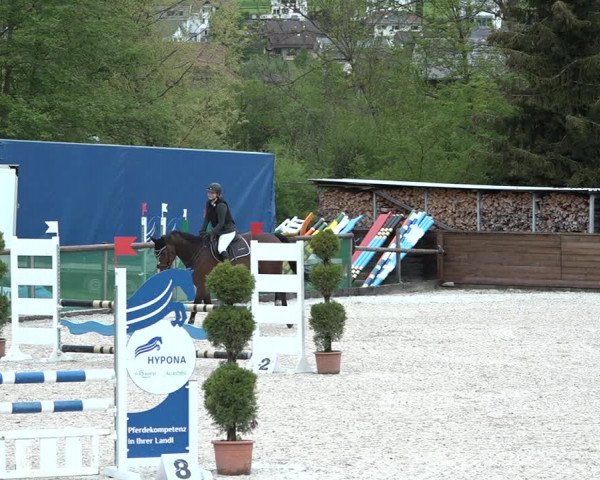 Reitturnier Schüpfheim 2021