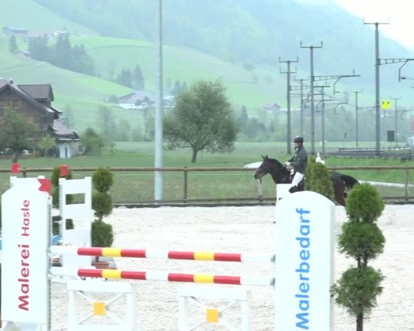Reitturnier Schüpfheim 2021