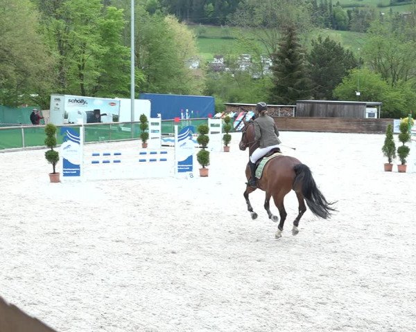 Reitturnier Schüpfheim 2021