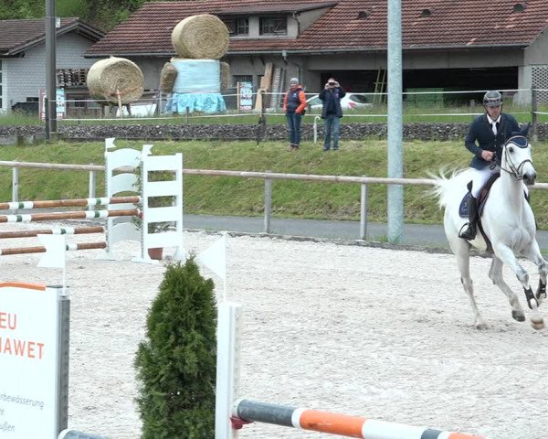 Reitturnier Schüpfheim 2021