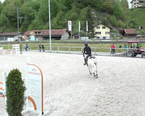Reitturnier Schüpfheim 2021