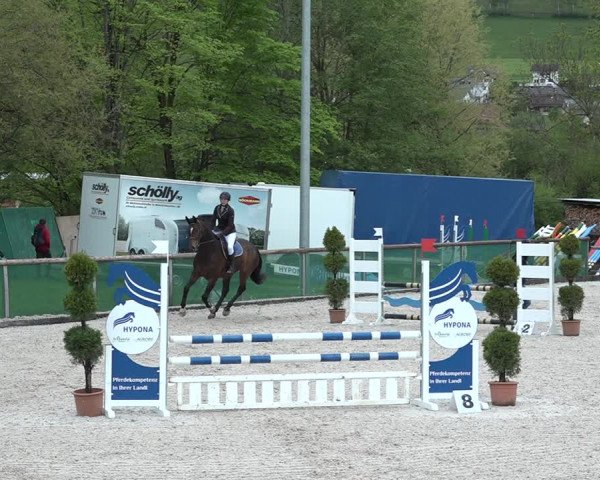 Reitturnier Schüpfheim 2021