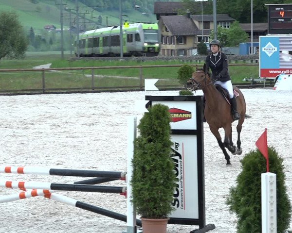 Reitturnier Schüpfheim 2021