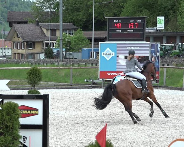 Reitturnier Schüpfheim 2021