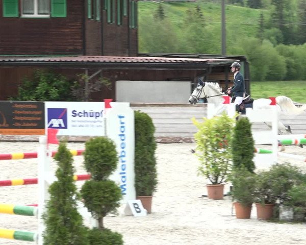 Reitturnier Schüpfheim 2021