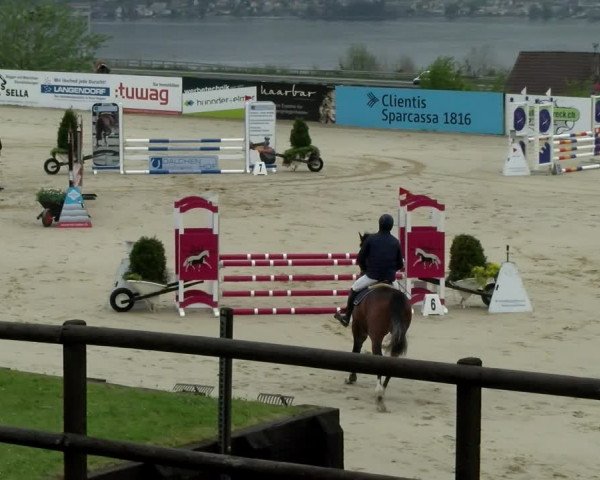 Reitturnier Wädenswil 2021