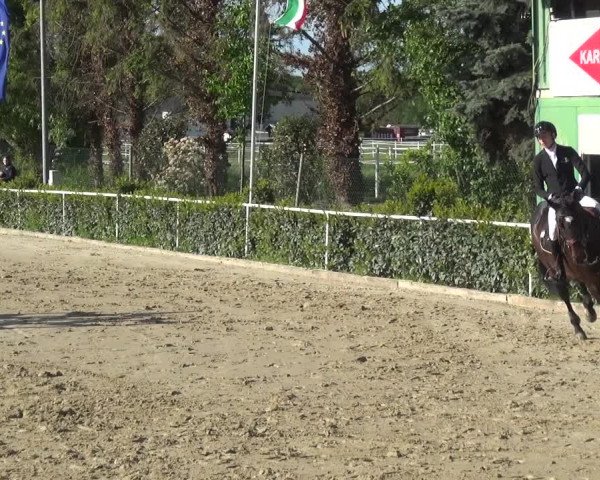 Reitturnier Bornheim-Widdig 2021