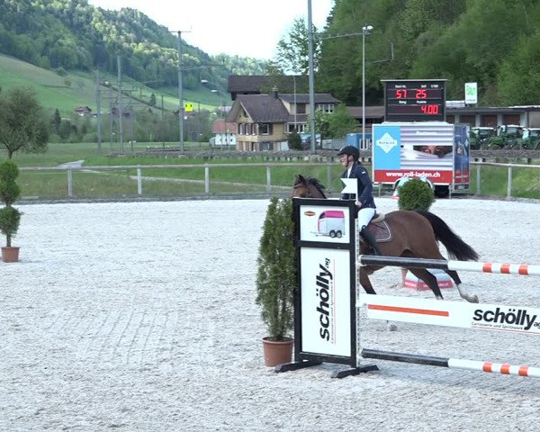 Reitturnier Schüpfheim 2021