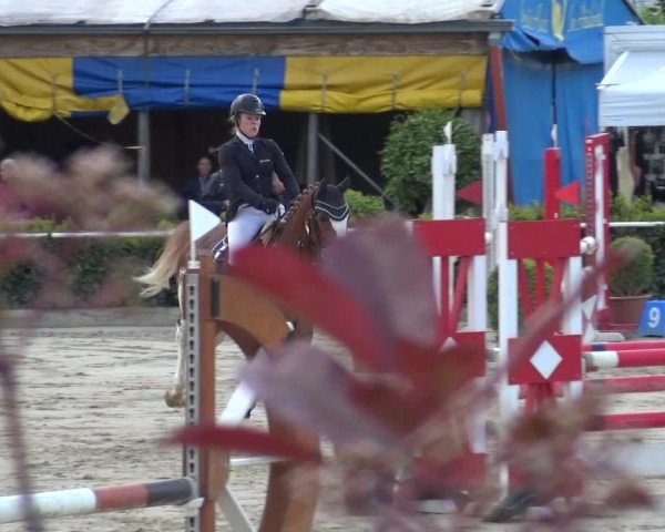 Reitturnier Bornheim-Widdig 2021