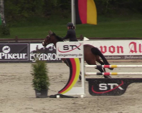 Reitturnier Westergellersen 2021