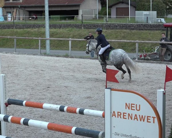 Reitturnier Schüpfheim 2021