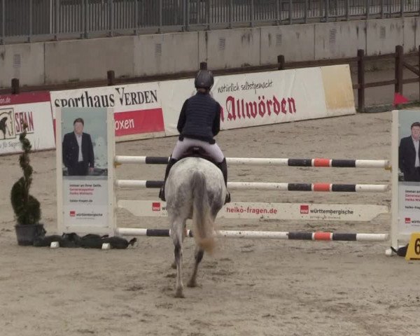 Reitturnier Westergellersen 2021