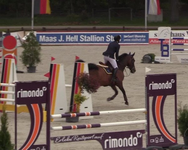 Reitturnier Westergellersen 2021