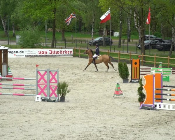 Reitturnier Westergellersen 2021