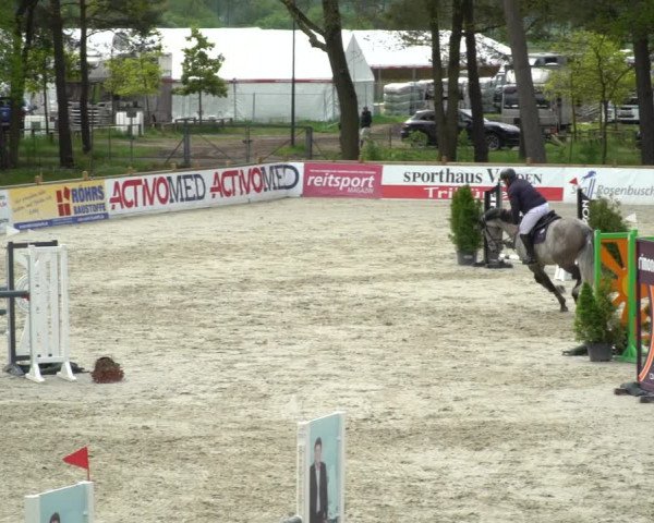 Reitturnier Westergellersen 2021