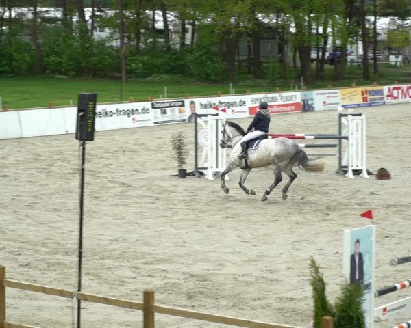 Reitturnier Westergellersen 2021