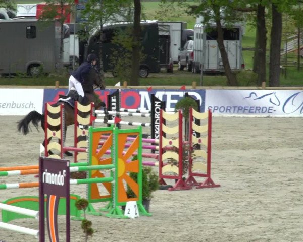 Reitturnier Westergellersen 2021