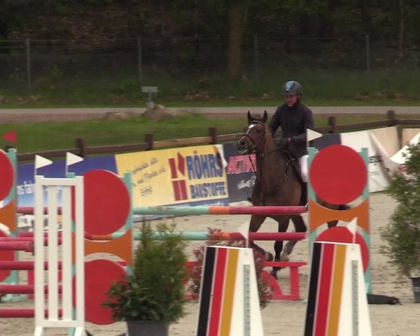 Reitturnier Westergellersen 2021