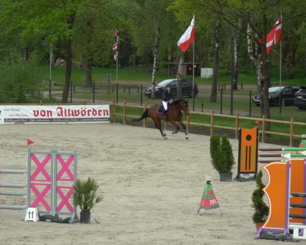 Reitturnier Westergellersen 2021