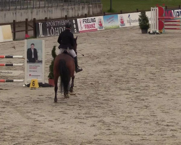 Reitturnier Westergellersen 2021