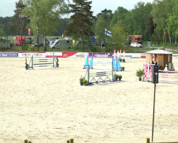 Reitturnier Westergellersen 2021