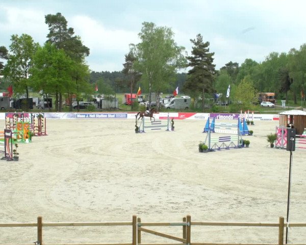 Reitturnier Westergellersen 2021
