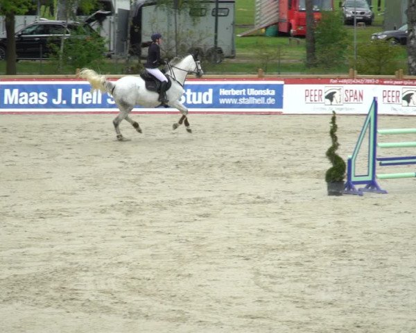 Reitturnier Westergellersen 2021
