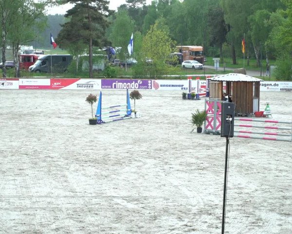 Reitturnier Westergellersen 2021
