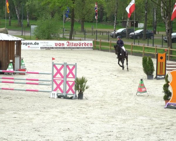 Reitturnier Westergellersen 2021