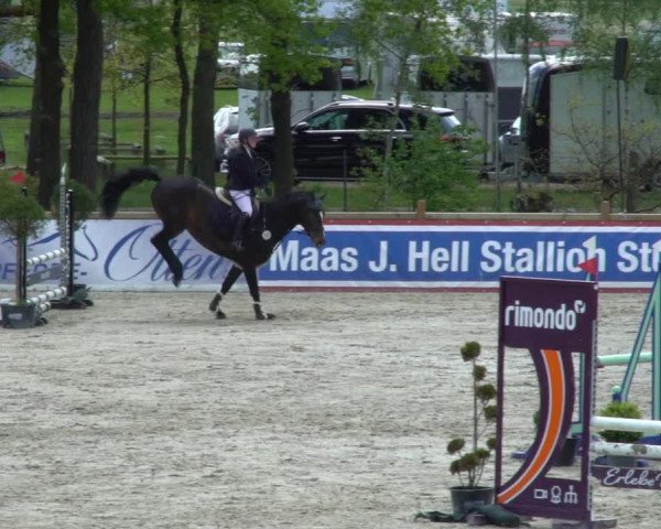 Reitturnier Westergellersen 2021