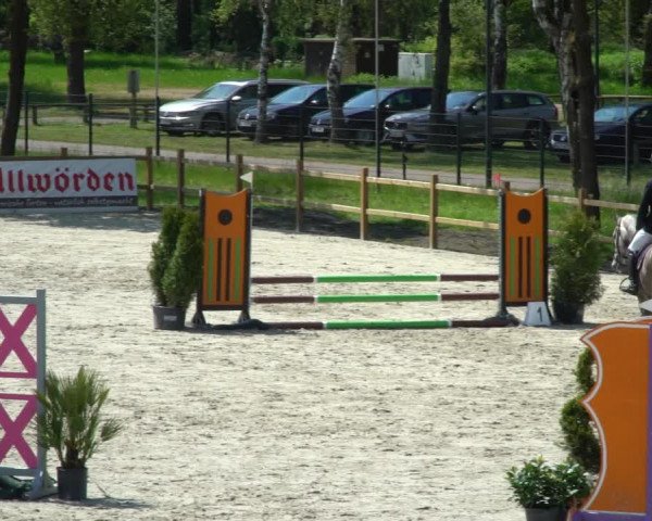 Reitturnier Westergellersen 2021