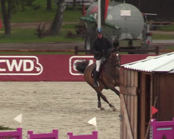 Reitturnier Westergellersen 2021
