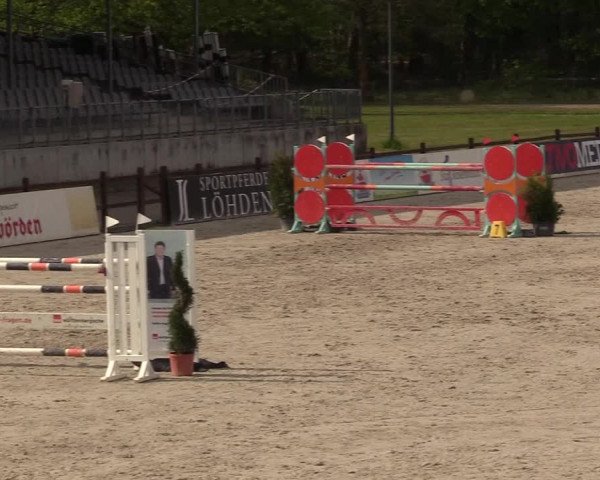 Reitturnier Westergellersen 2021