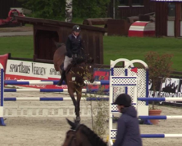 Reitturnier Westergellersen 2021