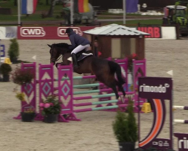 Reitturnier Westergellersen 2021
