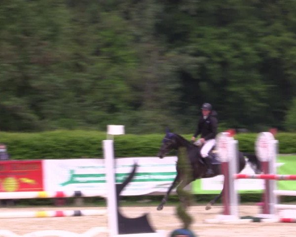Reitturnier Münster-Handorf 2021