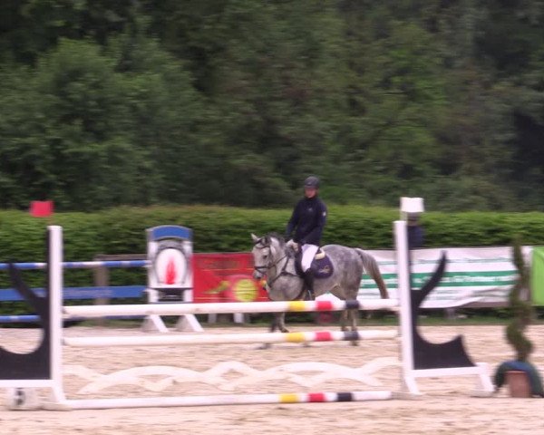 Reitturnier Münster-Handorf 2021