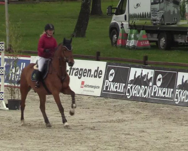 Reitturnier Westergellersen 2021