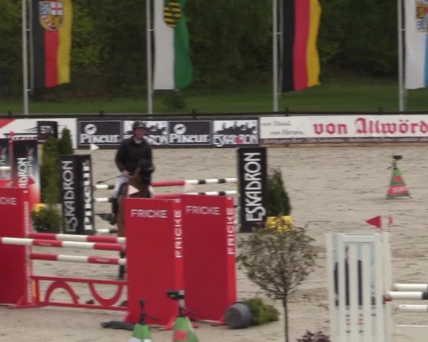 Reitturnier Westergellersen 2021