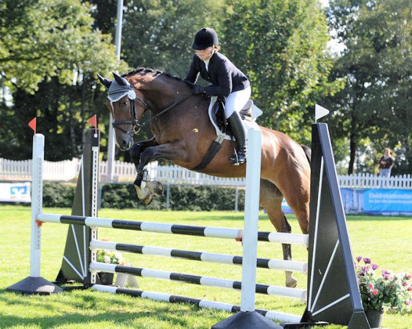 Springpferd Cleopatra 245 (Westfale, 2010, von Cordato)