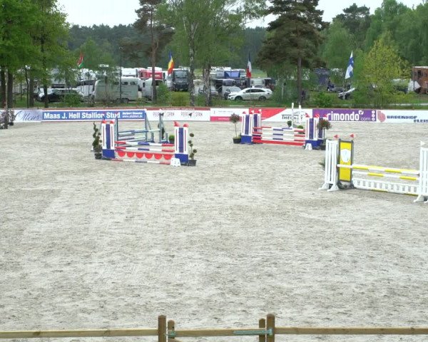 Reitturnier Westergellersen 2021