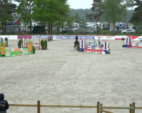 Reitturnier Westergellersen 2021