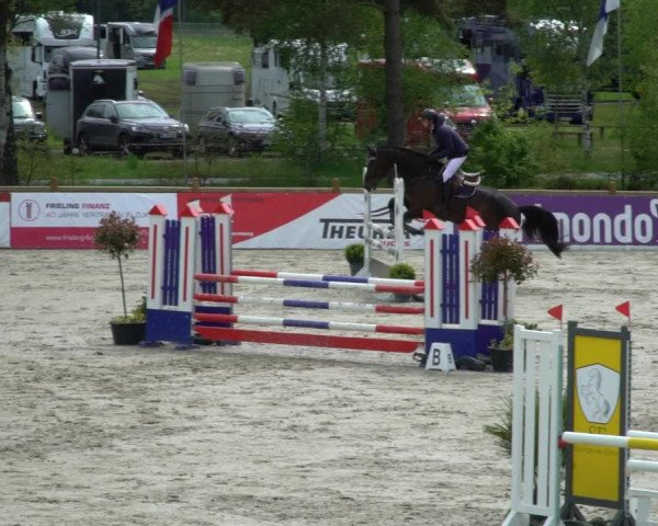 Reitturnier Westergellersen 2021